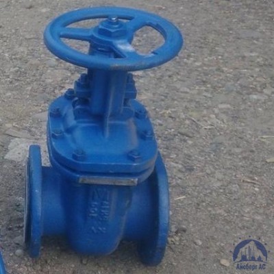 Клапан Ду 100 мм 13ТН2П купить в Усть-Каменогорске