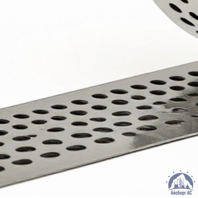 Скрепа для ленты НС-20-Т с зубьями C304 купить в Усть-Каменогорске