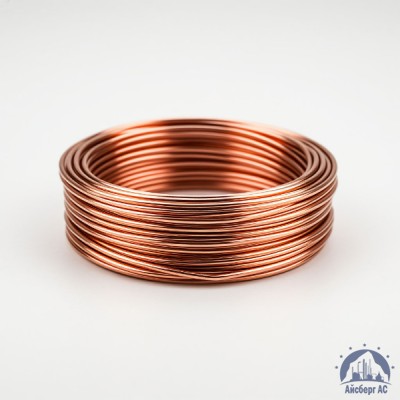 Проволока 4 мм БСМ 1 ГОСТ 3822-79 купить в Усть-Каменогорске