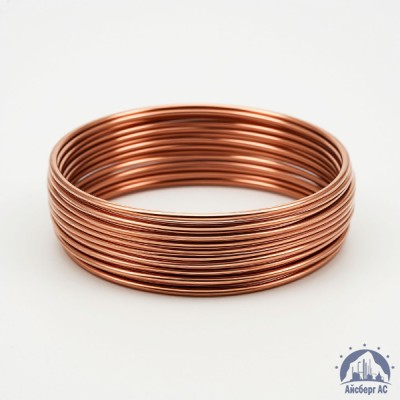 Проволока бронзовая 0.25 мм БрБ2 ГОСТ 15834-77 купить в Усть-Каменогорске