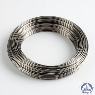 Проволока вольфрамовая 10,6 мкм ВМ купить в Усть-Каменогорске