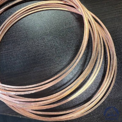 Прокладка медная уплотнительная 14х18-II s=1,5 ГОСТ 19752-84 купить в Усть-Каменогорске