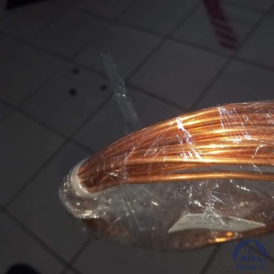 Труба М1 10х0,35 ТУ 48-0814-104-99 купить в Усть-Каменогорске