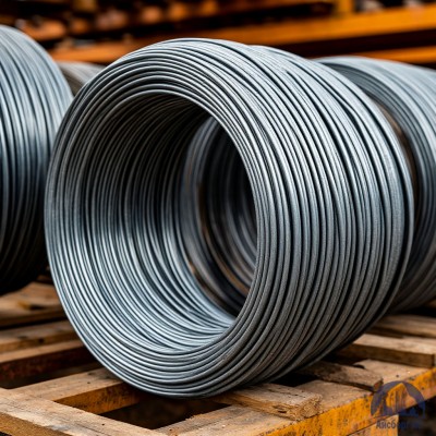 Проволока   1-П-1-30 ГОСТ 5663-79 купить в Усть-Каменогорске