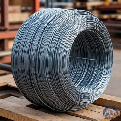 Проволока вольфрамовая 12 мкм ВМ купить в Усть-Каменогорске