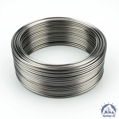 Проволока круглая 0,2-П-2-55 ГОСТ 3875-83 купить в Усть-Каменогорске