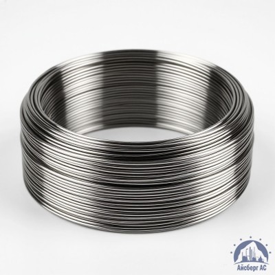 Проволока круглая 0,2-П-2-70 ГОСТ 3875-83 купить в Усть-Каменогорске