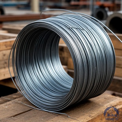 Проволока   1-1-25 ГОСТ 5663-79 купить в Усть-Каменогорске