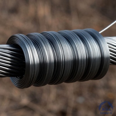 Проволока   1-2-08пс ГОСТ 5663-79 купить в Усть-Каменогорске