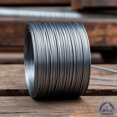 Проволока   1-2-30 ГОСТ 5663-79 купить в Усть-Каменогорске