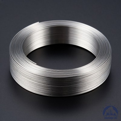 Проволока титановая 0,8 мм ВТ20-2СВ ГОСТ 27265-87 купить в Усть-Каменогорске