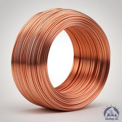 Проволока сварочная ДКРХМ 2,5 БТ МНЖКТ5-1-0,2-0,2 ГОСТ 16130-90 купить в Усть-Каменогорске