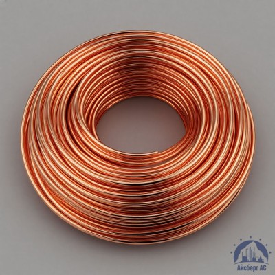 Проволока сварочная ДКРХМ 2,5 БТ МСр1 ГОСТ 16130-90 купить в Усть-Каменогорске