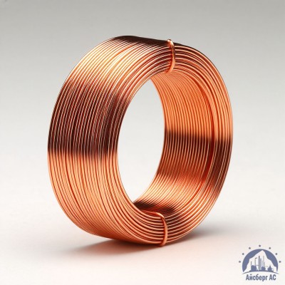 Проволока сварочная ДКРХМ 0,8 БТ МНЖКТ5-1-0,2-0,2 ГОСТ 16130-90 купить в Усть-Каменогорске