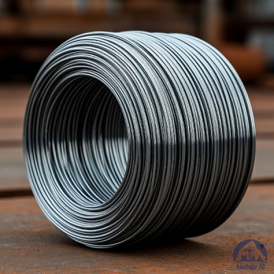 Проволока   1-П-2-10 ГОСТ 5663-79 купить в Усть-Каменогорске