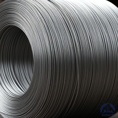 Проволока   1-П-2-45 ГОСТ 5663-79 купить в Усть-Каменогорске