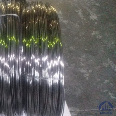 Проволока 0,34-Х15Н60 ГОСТ 8803-89 купить в Усть-Каменогорске