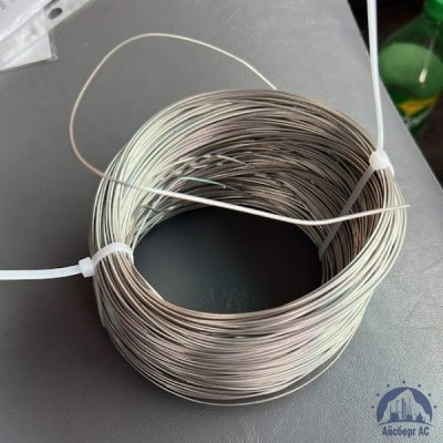 Проволока 0,25-Х15Н60 ГОСТ 8803-89 купить в Усть-Каменогорске