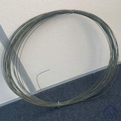 Проволока 0,36-Х20Н80 ГОСТ 8803-89 купить в Усть-Каменогорске