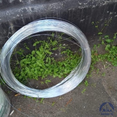 Проволока 0,25-Н80ХЮД-ВИ ГОСТ 8803-89 купить в Усть-Каменогорске