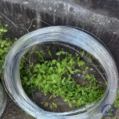 Проволока 0,34-Х20Н80-ВИ ГОСТ 8803-89 купить в Усть-Каменогорске