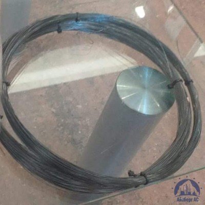 Проволока 0,32-20пс ГОСТ 17305-91 купить в Усть-Каменогорске